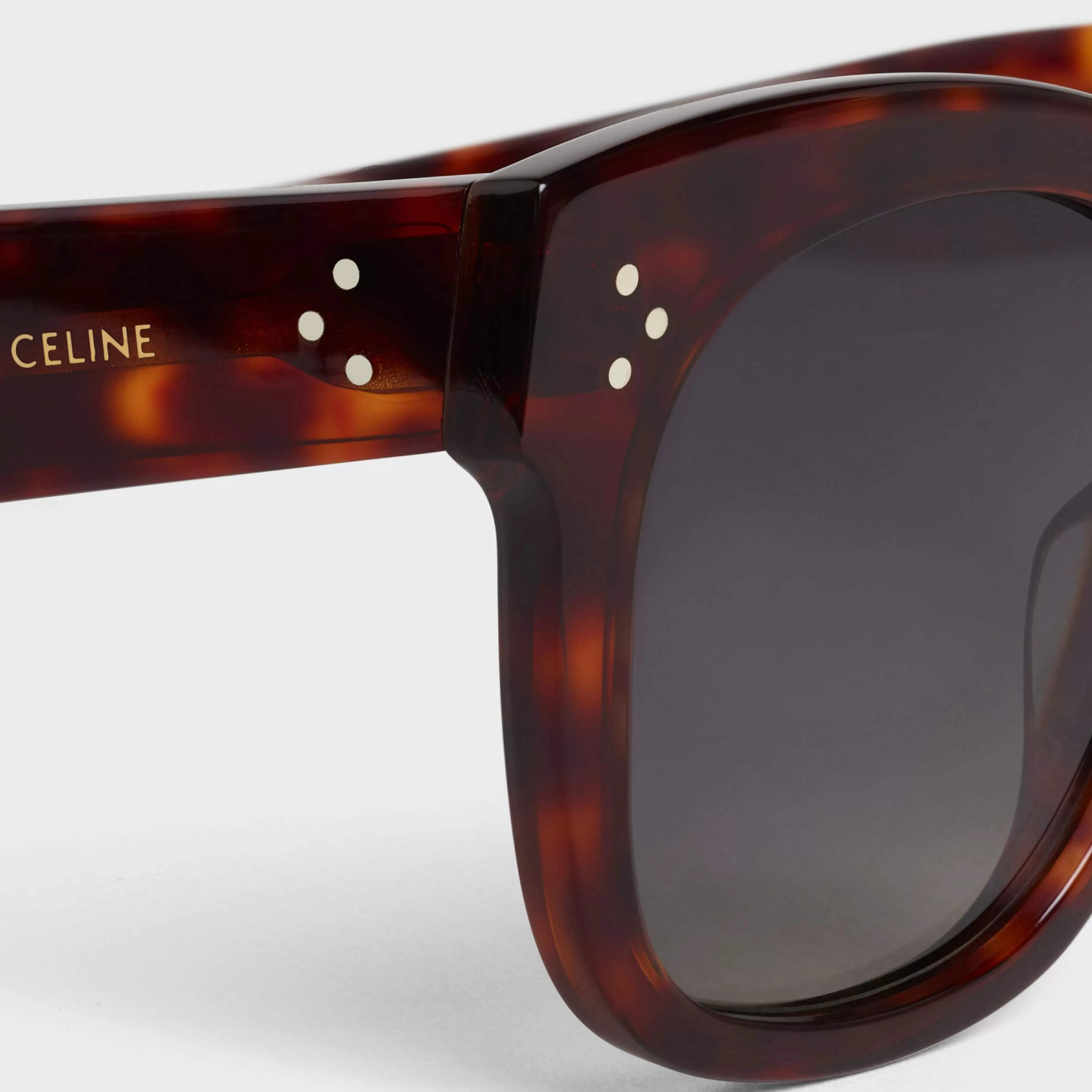 Oversized S002 Sunglasses in Acetate with Polarized Lenses^CELINE Best Sale