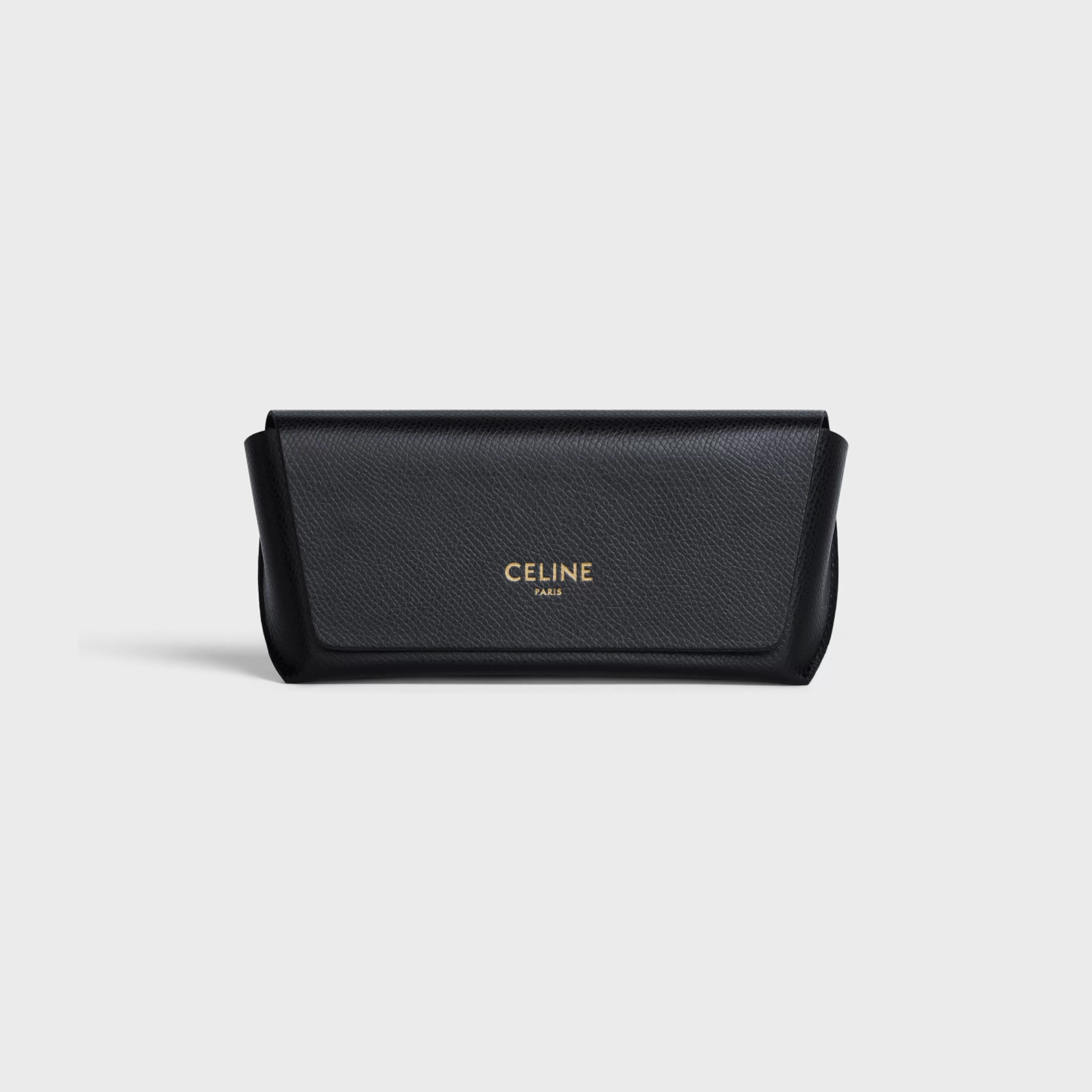 Oversized S002 Sunglasses in Acetate with Polarized Lenses^CELINE Best Sale